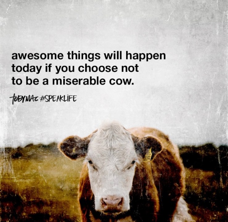 37C9A400-98DF-415B-A078-CBFC449981C8