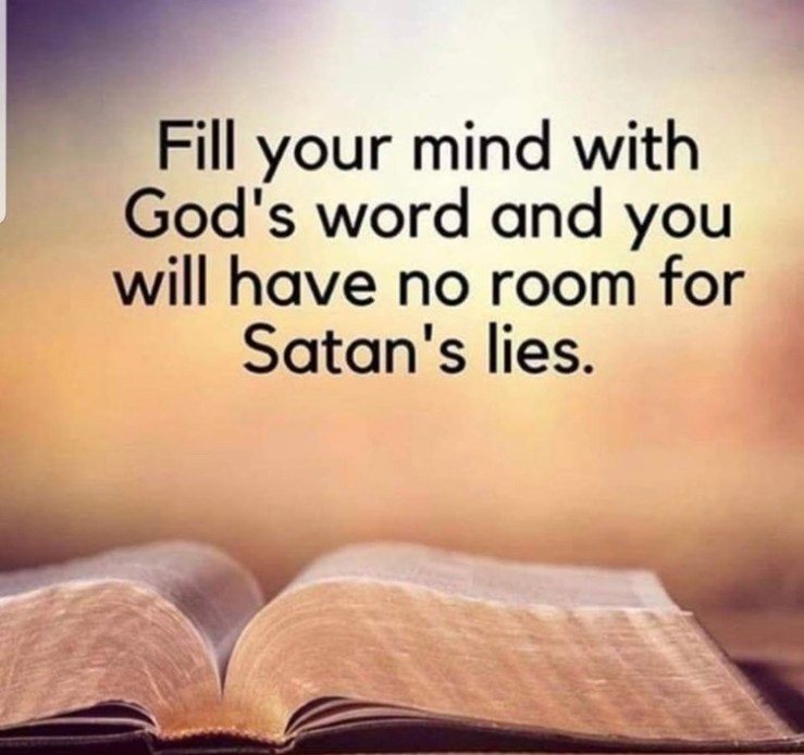 3E8FF444-D14F-404F-B8E0-CE0747AD2300